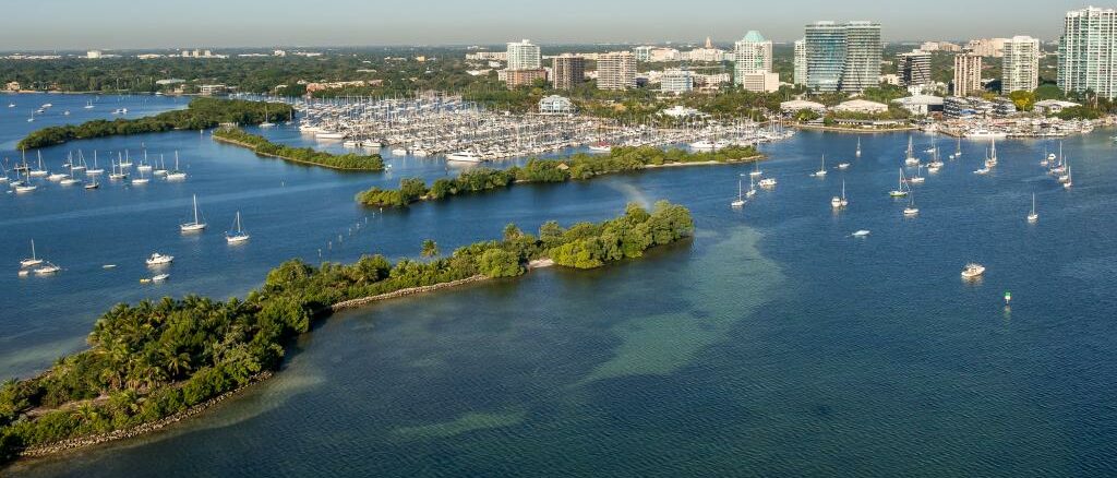 Coconut Grove