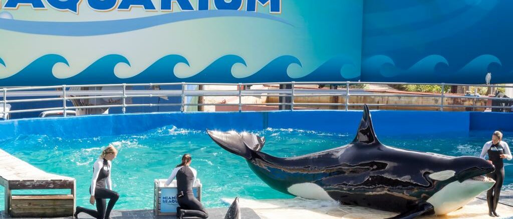 Miami Seaquarium