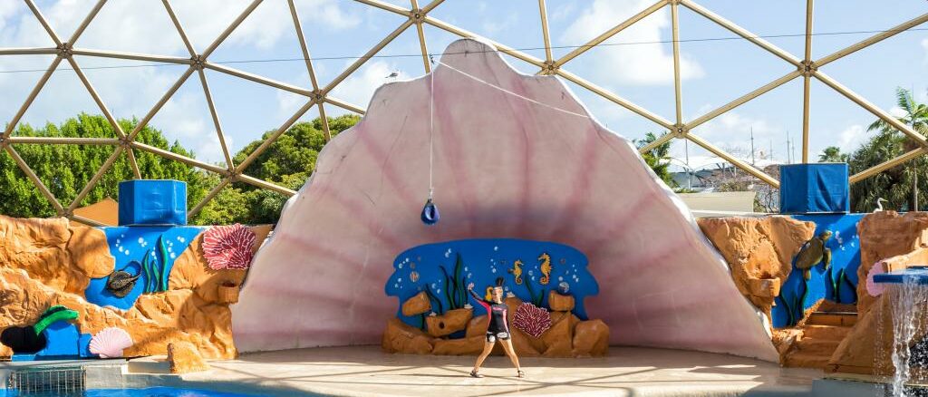 Eine Show im Miami Seaquarium