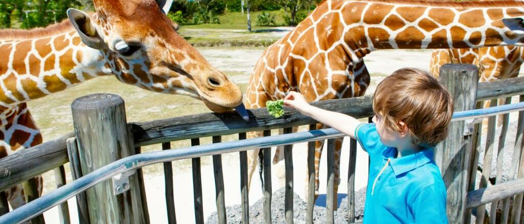 Zoo Miami