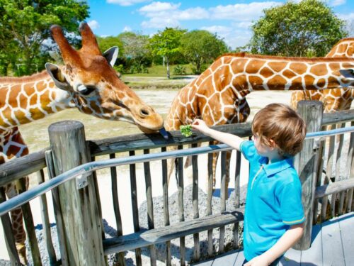 Zoo Miami