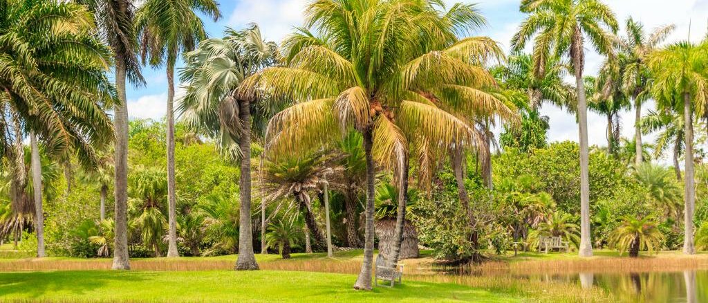 Fairchild Tropical Botanic Garden