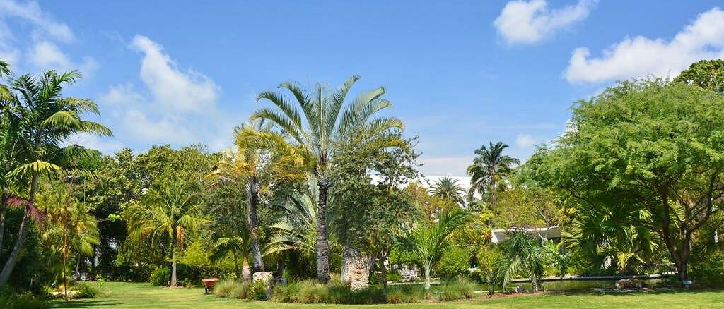 Miami Beach Botanical Garden
