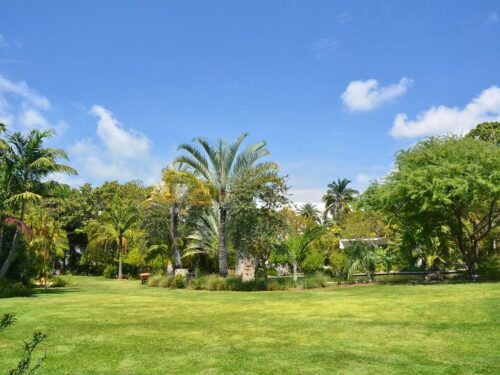 Miami Beach Botanical Garden